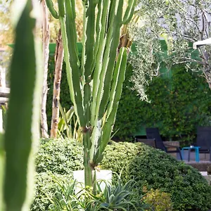 mercure-centre-notre-dame.fr-provencehotel.com/